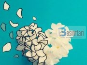 ZBUKURIMI I LEJUAR DHE AI I NDALUAR