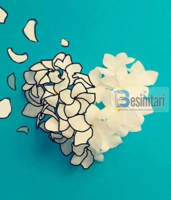 ZBUKURIMI I LEJUAR DHE AI I NDALUAR