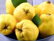 Dobitë e ftoit për shëndetin tonë