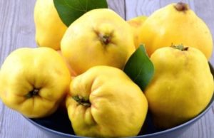 Dobitë e ftoit për shëndetin tonë