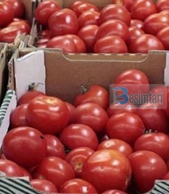 Fermeri: Domatet i lyejmë me kompresor, ku ka këtu kontroll