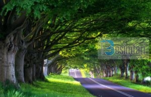 PËR KËTË PERSON IA VLEN TË LUFTOSH