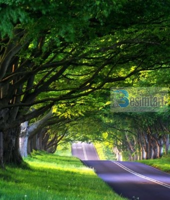 PËR KËTË PERSON IA VLEN TË LUFTOSH