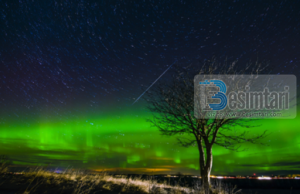 Si të vesh Allahu me rrobat e nderit në Ditën e Gjykimit