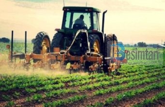 FEJESA E VAJZËS SË BUJKUT