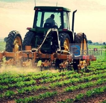 FEJESA E VAJZËS SË BUJKUT