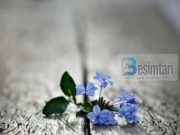 URTËSIA E PROFESORIT: SI TA JETOSH JETËN TËNDE?