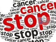 4 Shtyllat bazë për luftimin e kancerit