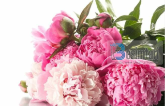 O baba, pse nëna qan pa arsye