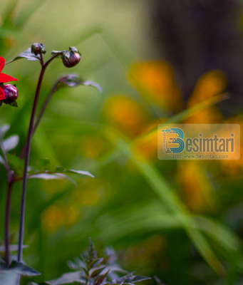 3 vetëve Allahu nuk ua refuzon përgjigjen