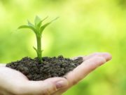 Allahu është furnizues i vetëm