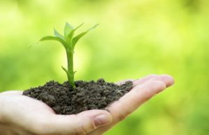 Allahu është furnizues i vetëm