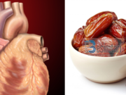 Ndikimi i ushqimit haram