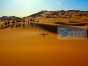 KËTA ISHIN KHALIFËT E DREJTË