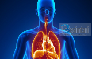 Çdo njeri ka dy melekë të cilët e ruajnë