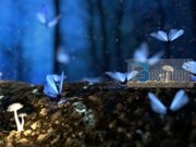 ÇDO BUKURI E KA EDHE MË TË BUKURËN BRENDA SAJ!