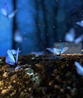 ÇDO BUKURI E KA EDHE MË TË BUKURËN BRENDA SAJ!