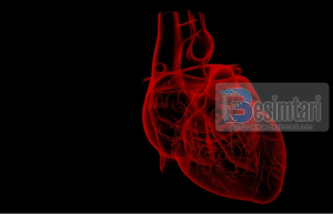TAKIKARDIA, RRAHJA E SHPEJTË E ZEMRËS