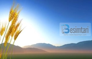 SI TI TEJKALOJM TË TJERËT PËR NGA VEPRAT E MIRA !?