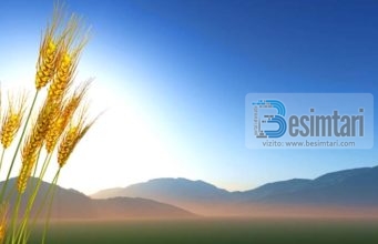 SI TI TEJKALOJM TË TJERËT PËR NGA VEPRAT E MIRA !?