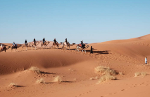 Të mësojmë nga historia jonë e ndritur.