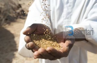 Të ushqesh të tjerët është pjesë e Islamit