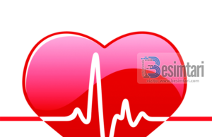 JA SA HERË DUHET TË RRAHË ZEMRA JUAJ SIPAS MOSHËS QË KENI