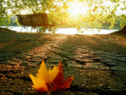 Kështu është kjo jetë