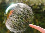 DYNJAJA ËSHTË KALIMTARE!