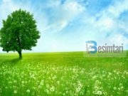 NJERIU I FUNDIT QË DO TË FUTET NË XHENET