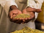 Kush thotë se është e vështirë të fitohet Xhenneti?!