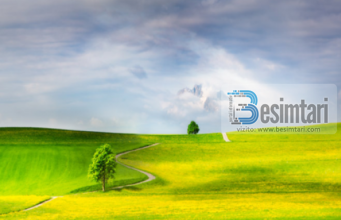 SI ESHTE REHATIA E BRENDSHME?