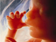 Fati i njeriut kur është shkruar?