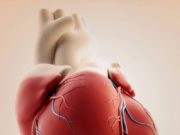 Lexo pak, falëndero shumë…