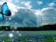 SHTATË AJETET QË TA LEHTËSOJNË NGUSHTIMIN NË GJOKS!