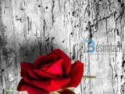 Esenca e besimit është në dorëzimin dhe kënaqësinë e plotë