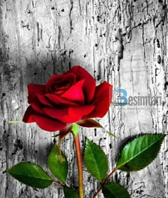 Esenca e besimit është në dorëzimin dhe kënaqësinë e plotë