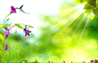 A E KENI LEXUAR HISTORINË E DHIMBSHME TË UMU SELEMES?