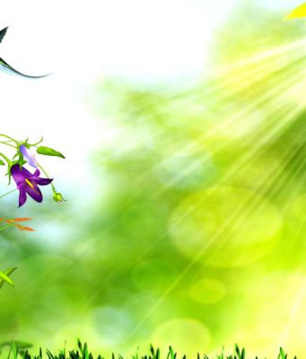 A E KENI LEXUAR HISTORINË E DHIMBSHME TË UMU SELEMES?