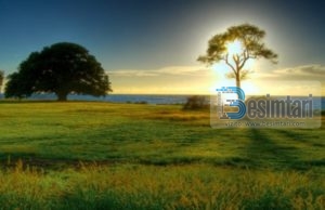 POROSI TË RËNDËSISHME PËR ÇDO DYZETVJEÇARË!