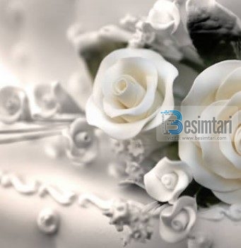 MOTËR, KY DUHET TË JETË PRINCI I ËNDRRAVE TUA!!