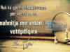 NËSE TË PËLQEN VETJA…?
