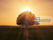 A DALLOHËT XHENNETLIU DHE XHEHNEMLIU NË KËTË BOTË?