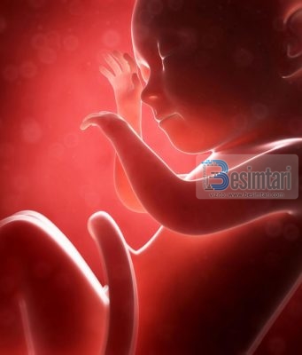 A LEJOHET ABORTI NË ISLAM, NËSE PO, KUR LEJOHET?