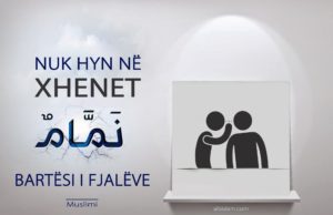 NUK HYN NË XHENET BARTËSI I FJALËVE