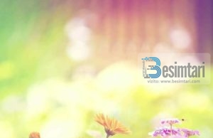 BESIMI NË MELEKËT E ALLAHUT