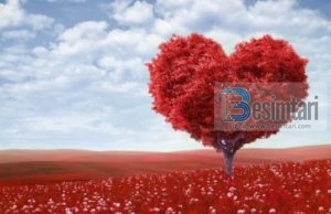 Kjo është #dashuri!