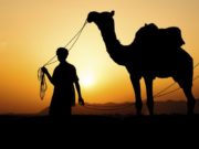 Mrekullia e Allahut në krijimin e devesë