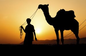 Mrekullia e Allahut në krijimin e devesë