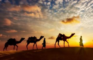 Sundimi i budallenjve